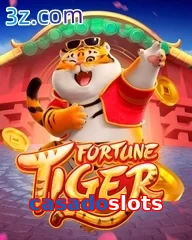 casadoslots slots online fortune tiger